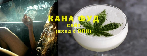 дмт Инта