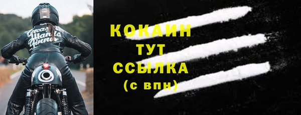 дмт Инта