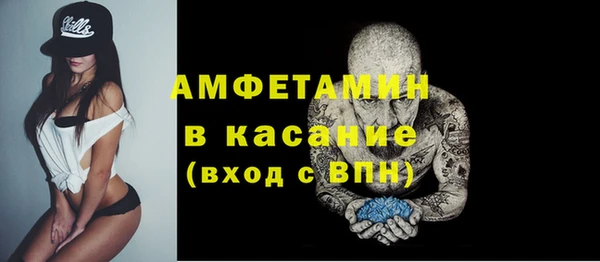 дмт Инта