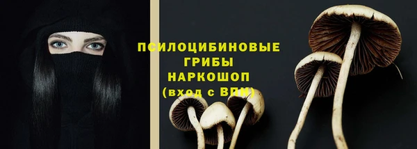 apvp Зеленодольск
