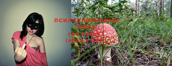 спиды Зерноград