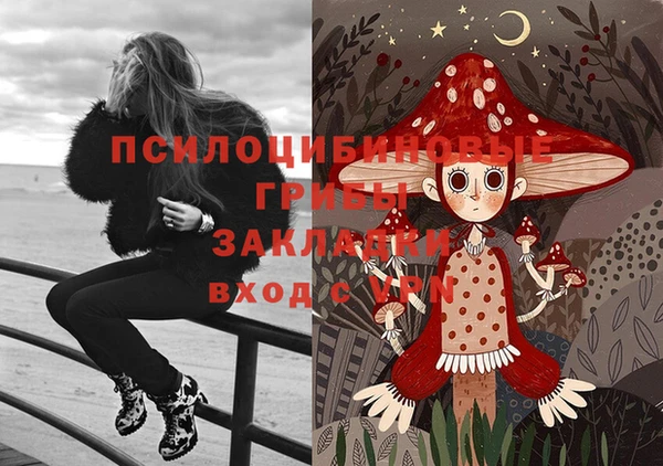 apvp Зеленодольск