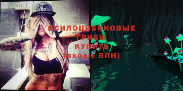 apvp Зеленодольск