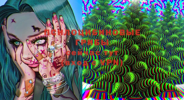 экстази Ельня