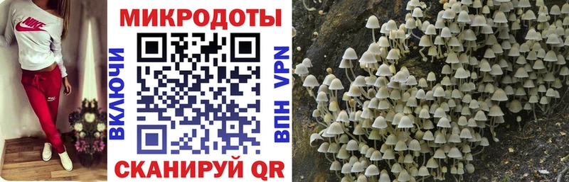 купить  цена  Чусовой  Псилоцибиновые грибы Magic Shrooms 