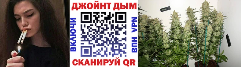 Канабис индика  ОМГ ОМГ зеркало  Чусовой  где найти  